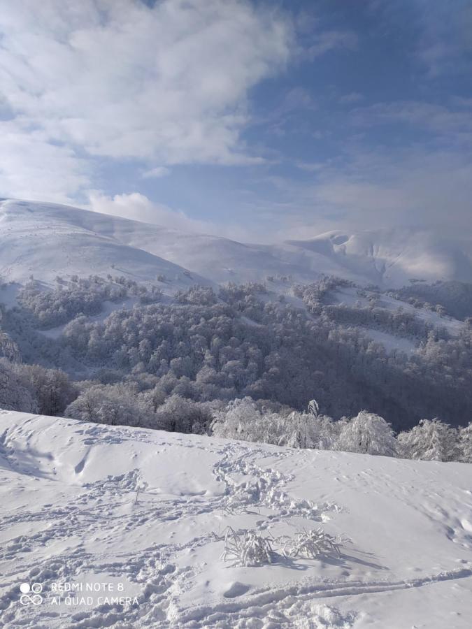 Sadyba Gostynniy Dvir อีสกี ภายนอก รูปภาพ